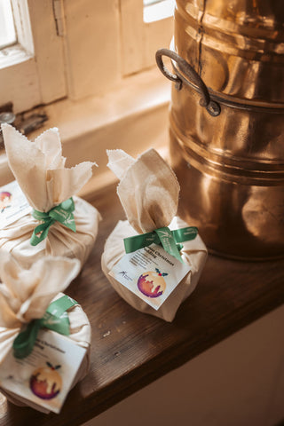 Elm and Willow's Adventures at Rippon Lea: The Teddy Bears' picnic SIGNED COPY Postage Included.