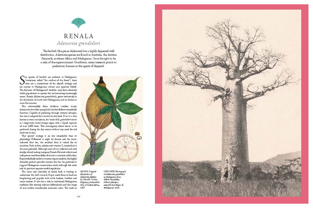 Rare Plants (Kew) Forty of the world's rarest and most endangered plants