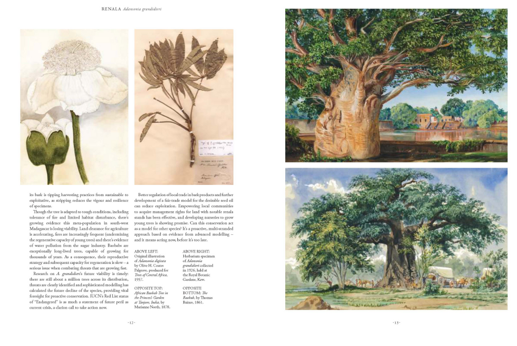 Rare Plants (Kew) Forty of the world's rarest and most endangered plants