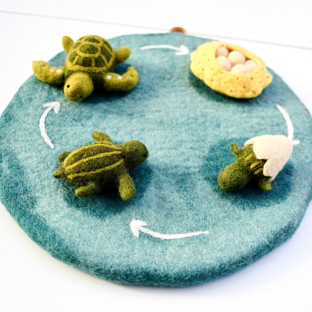 Felt Life cycle of Green Sea Turtle