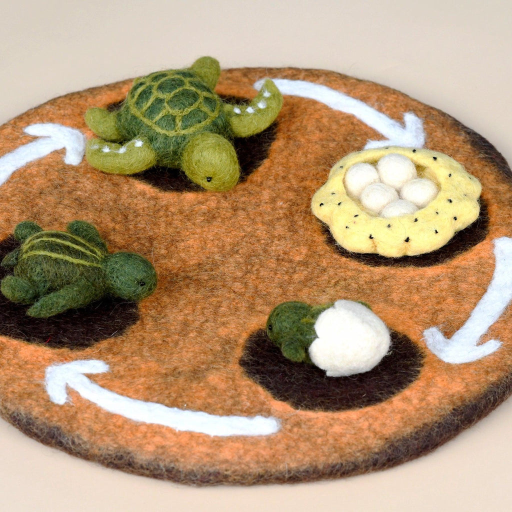 Felt Life cycle of Green Sea Turtle