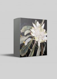 Cressida Campbell card set - Nature