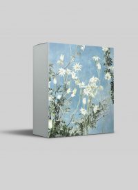 Cressida Campbell card pack - Night and Day