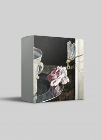 Cressida Campbell card pack - Transience