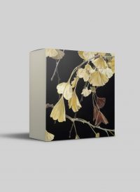 Cressida Campbell card pack - Silence