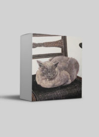 Cressida Campbell card pack - Solitary