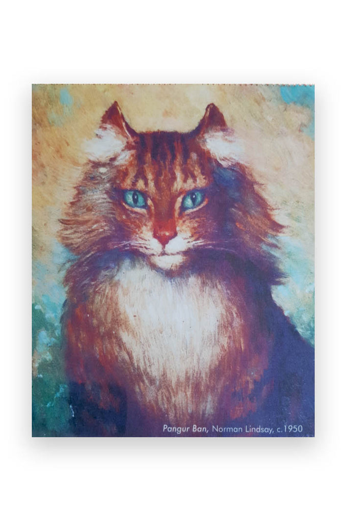 Pangur Ban Lens Cloth