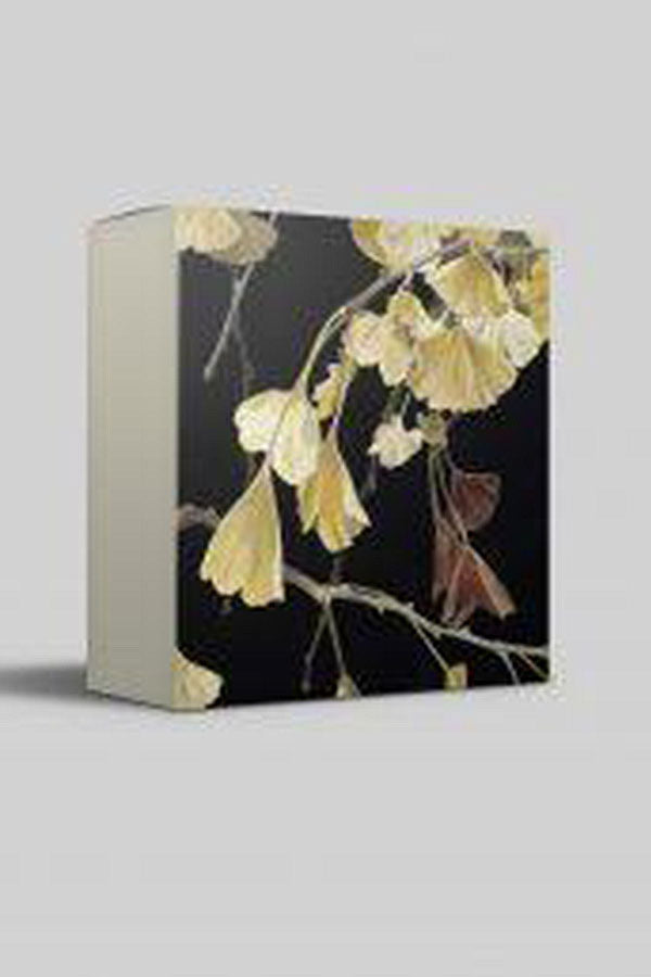 Cressida Campbell card pack - Silence