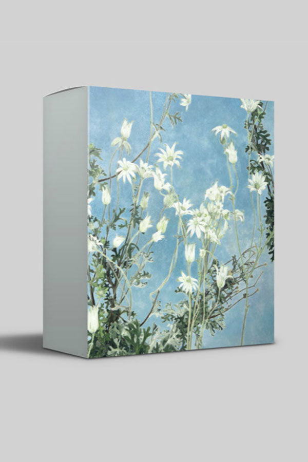 Cressida Campbell card pack - Night and Day