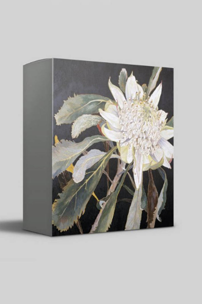 Cressida Campbell card set - Nature