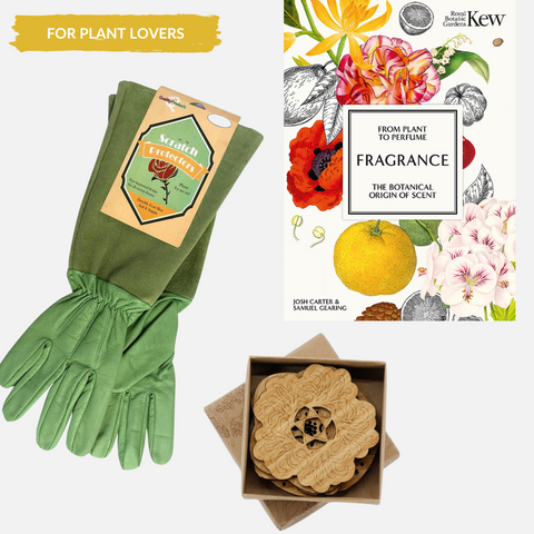Gift of Three for Plant Lovers