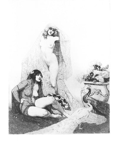 Peacocks #496 Norman Lindsay Facsimile Etching
