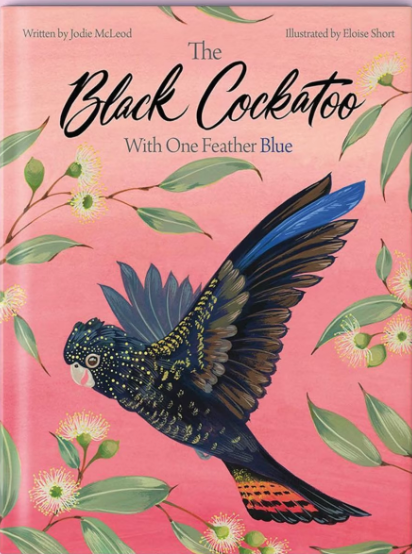 Black Cockatoo With One Feather Blue