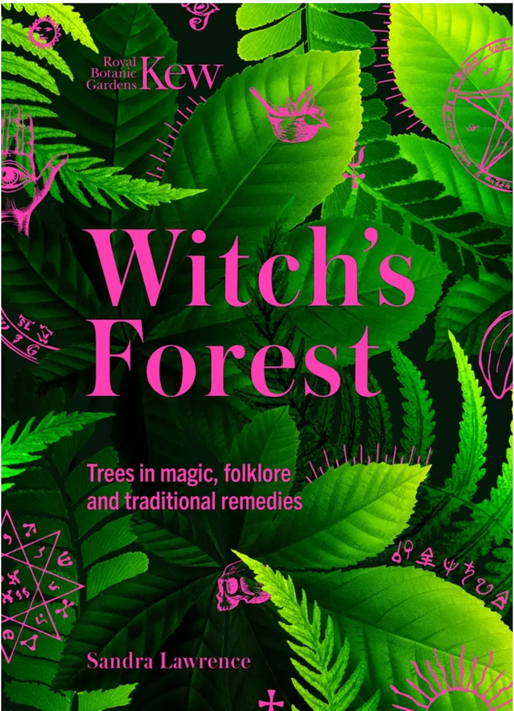 Witch's Forest