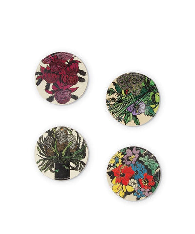 Black Cockatoo With One Feather Blue