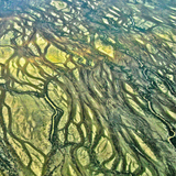 Diamantina River Clutch Bag