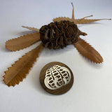 Banksia Brooch with Wooden Back