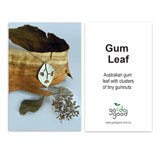 Gum Leaf Stud Dangle Earrings