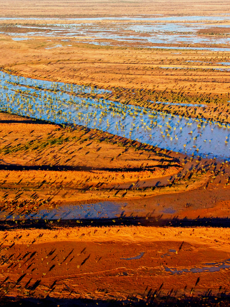 Phone Pouch Simpson Desert