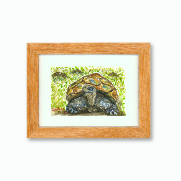 Giant Miniature Art Exhibition 2023 no. 392 : Fernanda The Galapagos Turtle