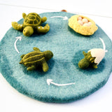 Felt Life cycle of Green Sea Turtle