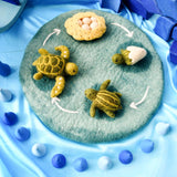 Felt Life cycle of Green Sea Turtle