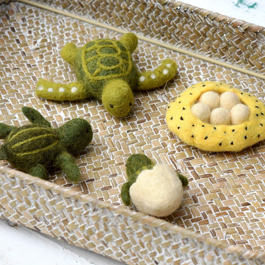 Felt Life cycle of Green Sea Turtle