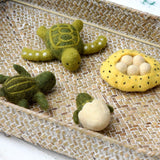 Felt Life cycle of Green Sea Turtle