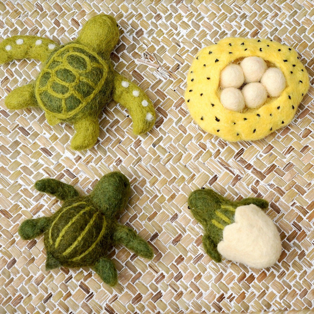 Felt Life cycle of Green Sea Turtle