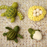 Felt Life cycle of Green Sea Turtle