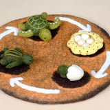 Felt Life cycle of Green Sea Turtle