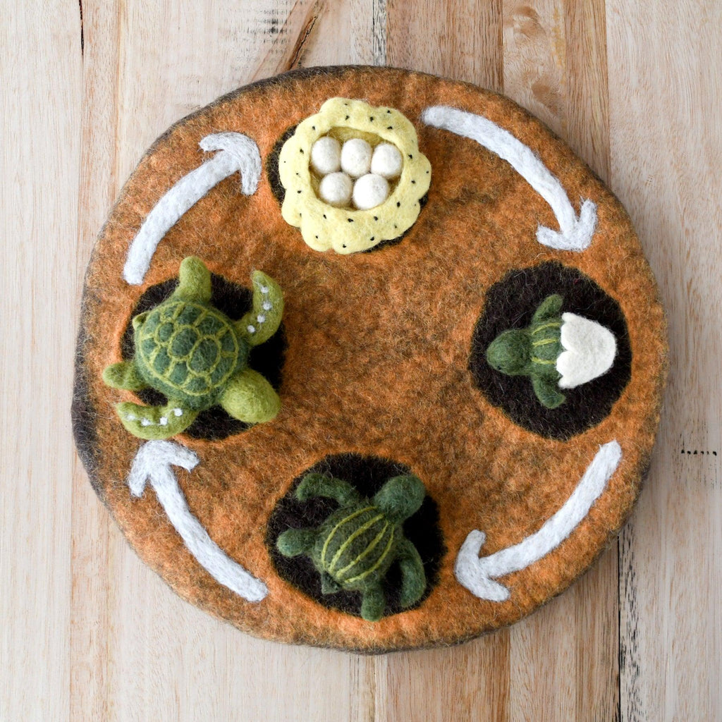 Felt Life cycle of Green Sea Turtle