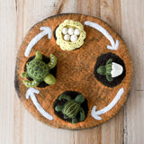 Felt Life cycle of Green Sea Turtle