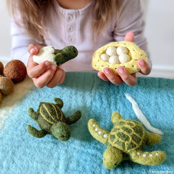 Felt Life cycle of Green Sea Turtle