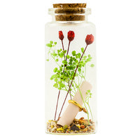Red rose in a bottle